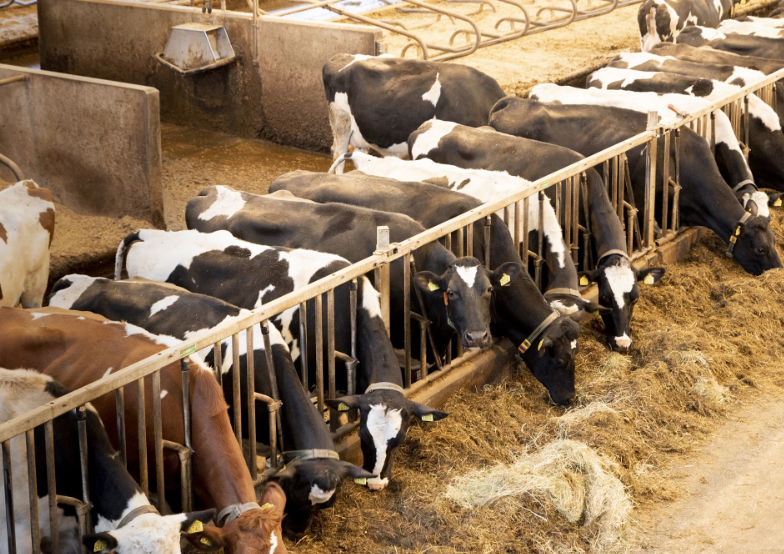 symposium circular agriculture