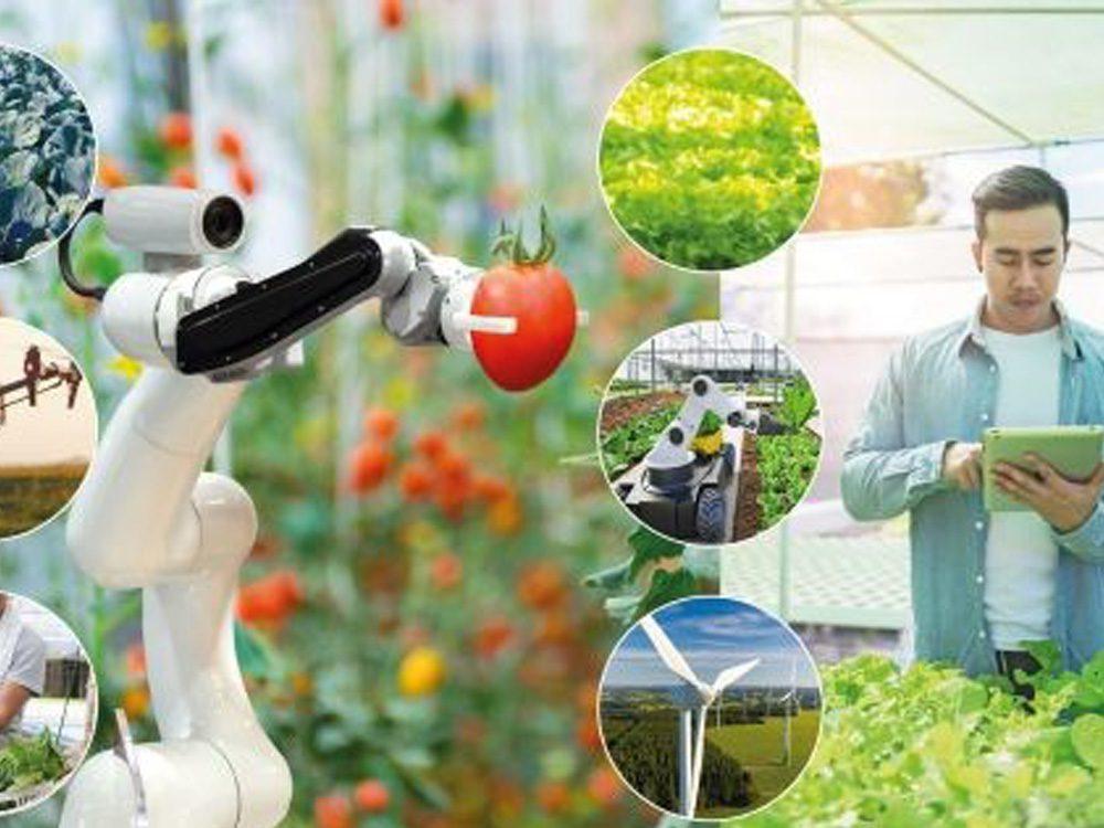 agri-food event