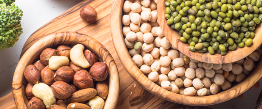 vegetable protein workshop