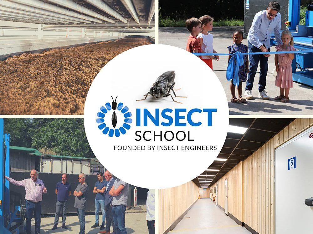 InsectSchool