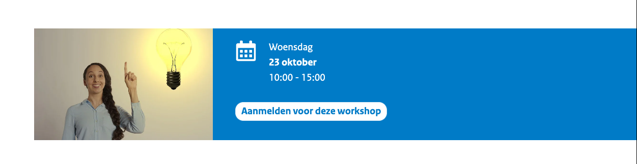 rvo workshop ie
