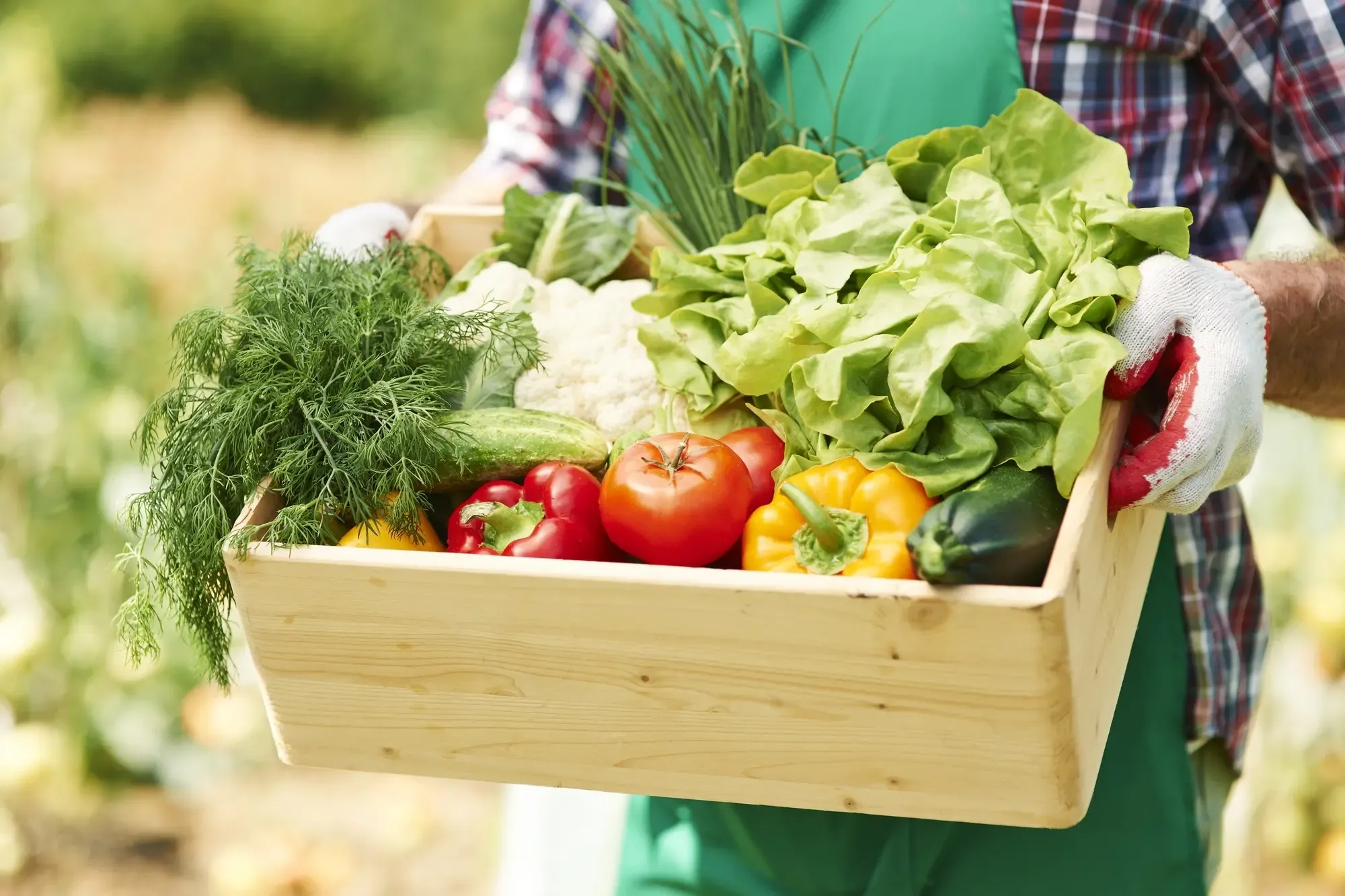 vegetables