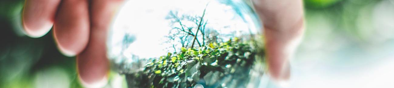 Circular Bio