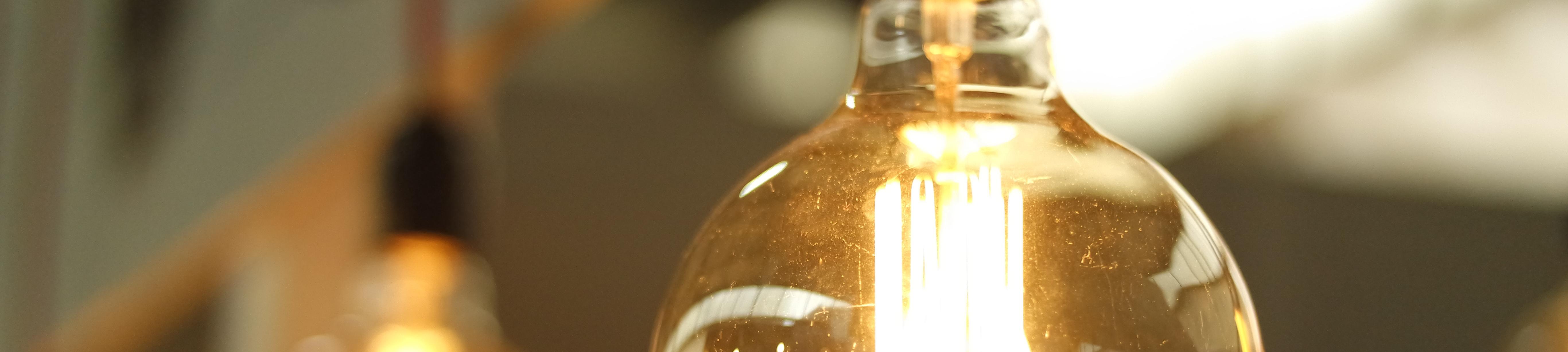 bulb